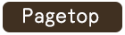 pagetop